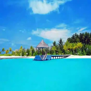 tb657111232031卡通ig情人节车务服务jhfu图片ZA41FF84C