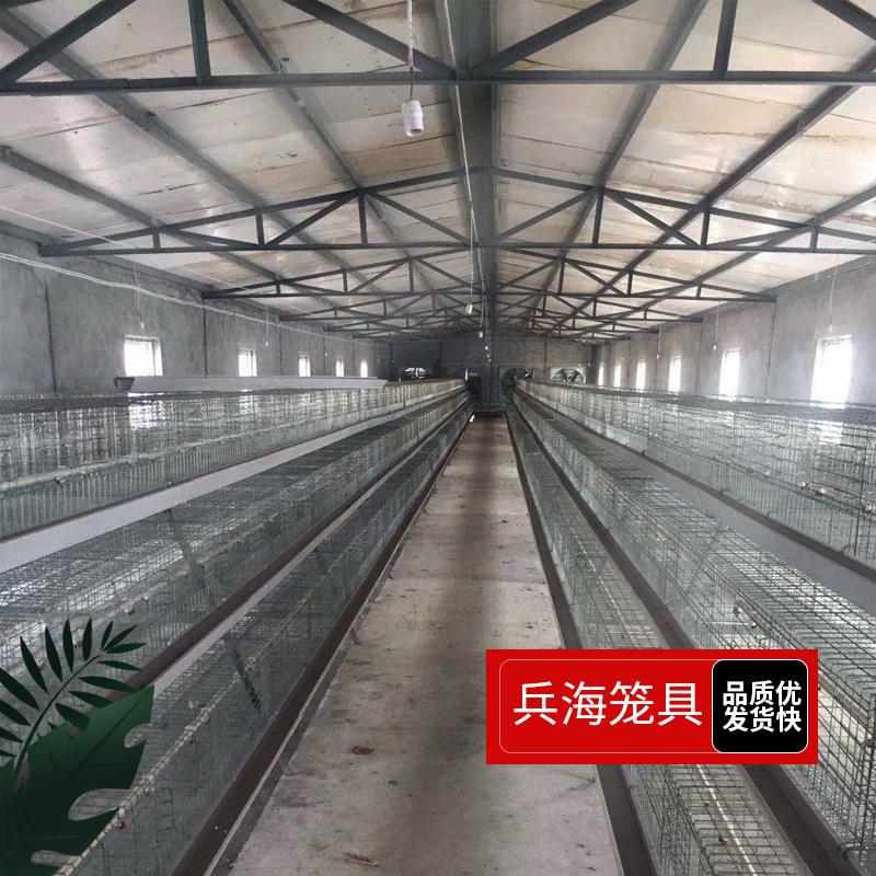 三层四门电镀锌蛋鸡笼使用寿命长养殖场自动化养殖设备厂家直供