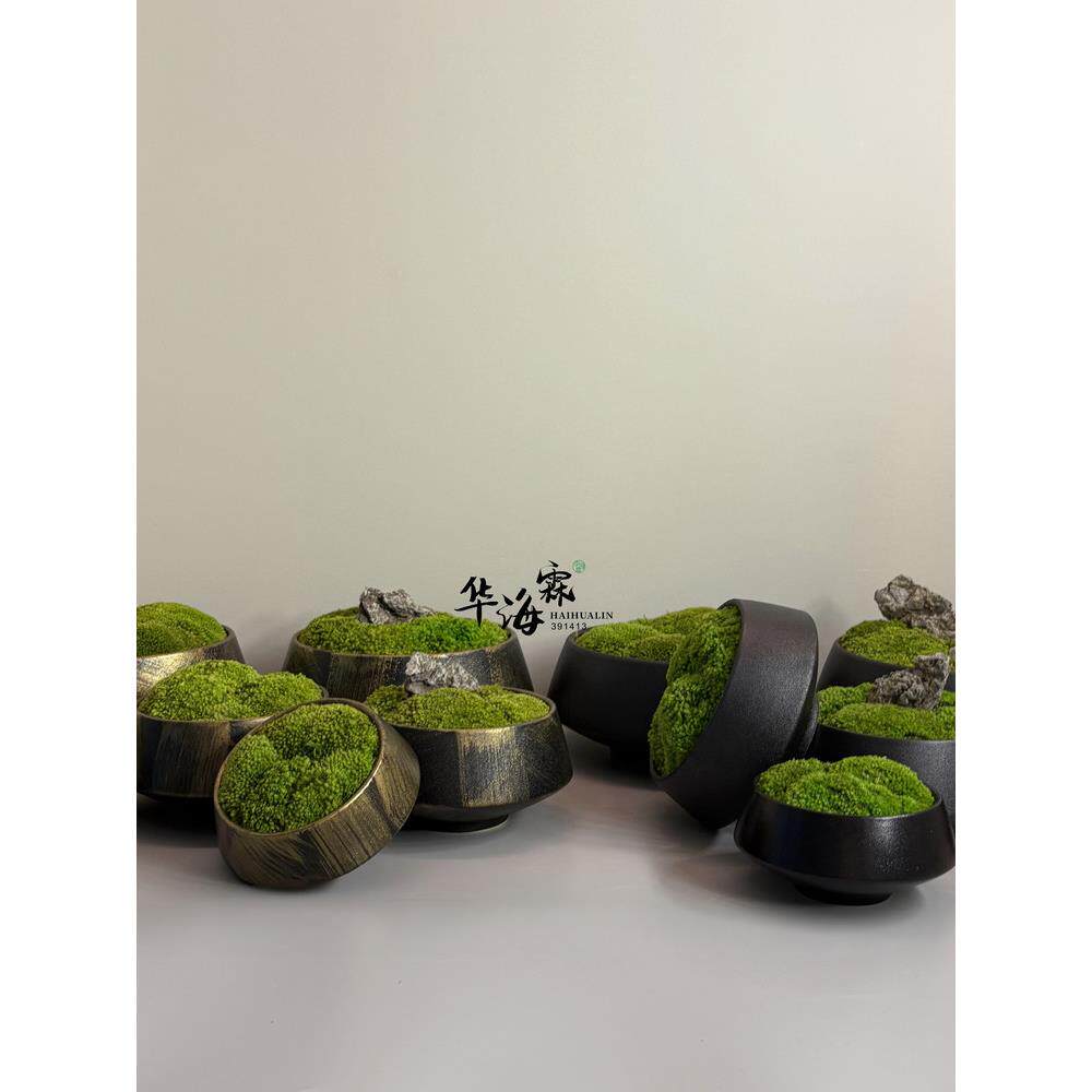 陶瓷新中式永生青苔植物盆景 样板房客厅书房茶几桌面摆件花艺