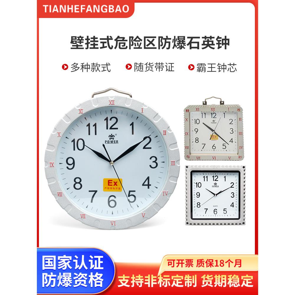 IP68防爆石英钟 霸王钟芯防爆石英钟 ⅡCT6防爆石英钟 防爆挂钟