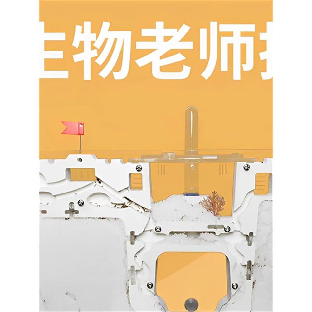 蚂蚁生态箱城堡超大型送蚁后学生观察盒繁殖版的蚁巢窝工坊宠物