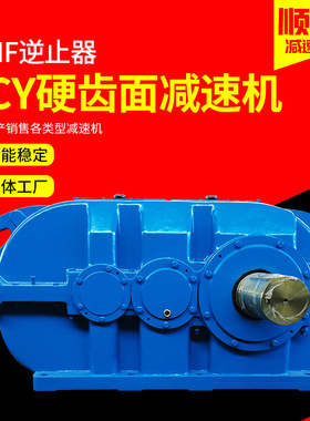 定制DCY系列硬齿面减速机 DCY500-31.5-45带逆止器泰兴减速机厂家
