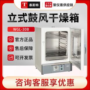 65B 天津WGL 30B 45B 鼓风干燥箱 125B立式