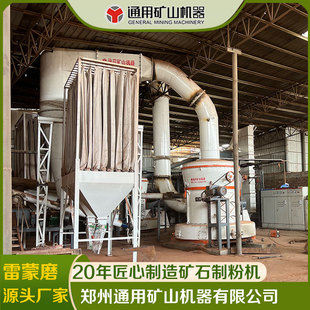 100目矿石雷蒙磨粉机 矿渣煤渣雷蒙磨 现货供应 石灰石