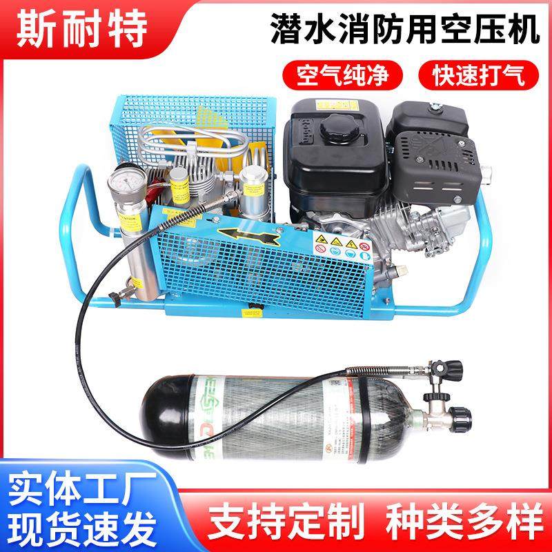 高压潜水空气压缩机空气呼吸器充气泵20-30Mpa活塞式便携空压机