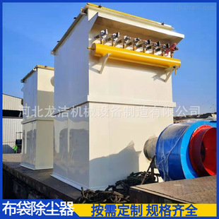 高温防静电单机脱硫除尘器水泥灰粉尘吸尘器 锅炉布袋除尘器
