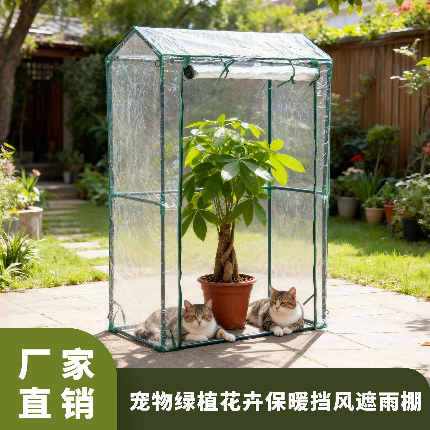 多肉三角梅温室植物花房蔬菜花卉保暖罩棚菜地保温棚流浪猫防雨棚