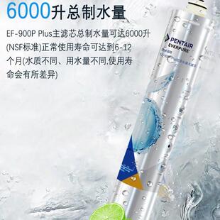 美国爱惠浦EF 400净水器家用直饮厨房自来水过滤矿物质 900P PBS