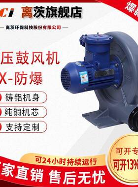 FX系列（BT4）防爆型中压鼓风机粉尘防爆鼓风机锅炉助燃