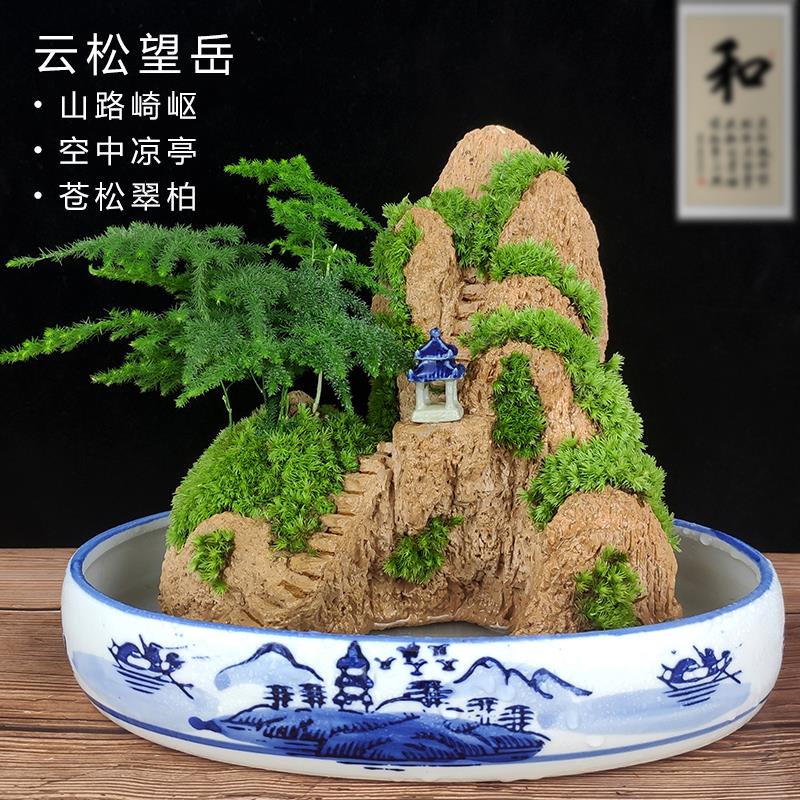 假山盆景吸水奇石苔藓鱼缸微景观山水文竹造景上水摆件石小绿植