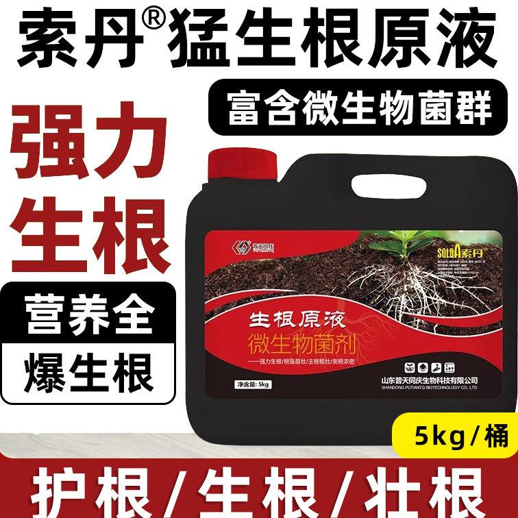 生根壮苗剂生根液果树蔬菜花卉移栽育苗强力发根壮根抑线虫水溶肥