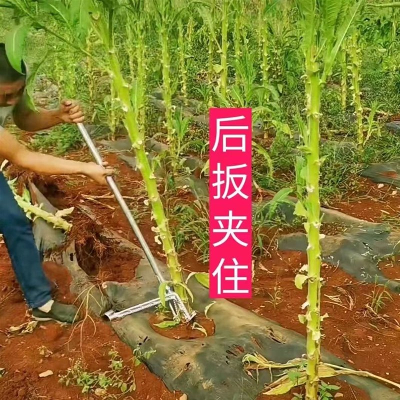 拔杆器拔杆神器拔烟杆木M薯杆玉米杆起杆器