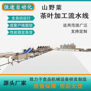 山野菜清洗殺青生產(chǎn)流水線婆婆丁蒲公英茶葉加工整套機(jī)械設(shè)備制造