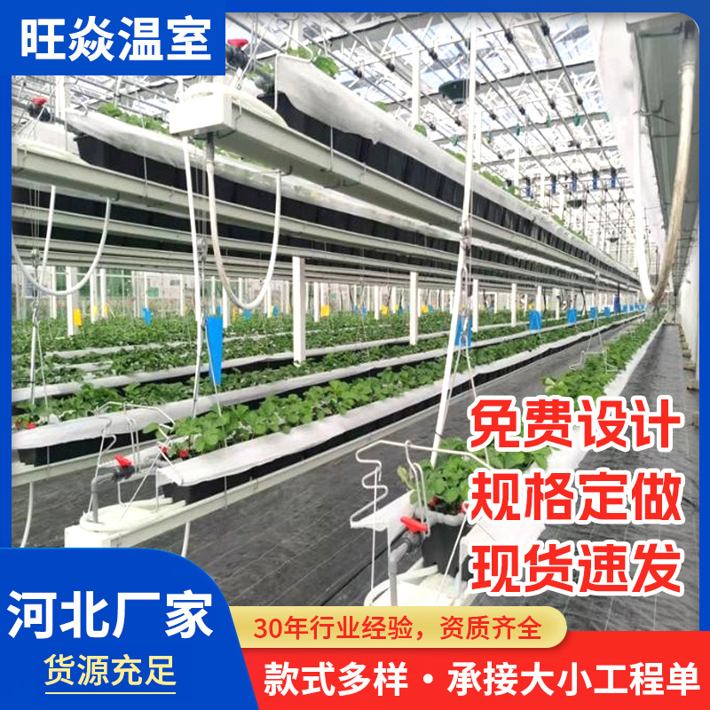 升降立体种植槽空中草莓种植架无土栽培温室设备高架草莓种植槽