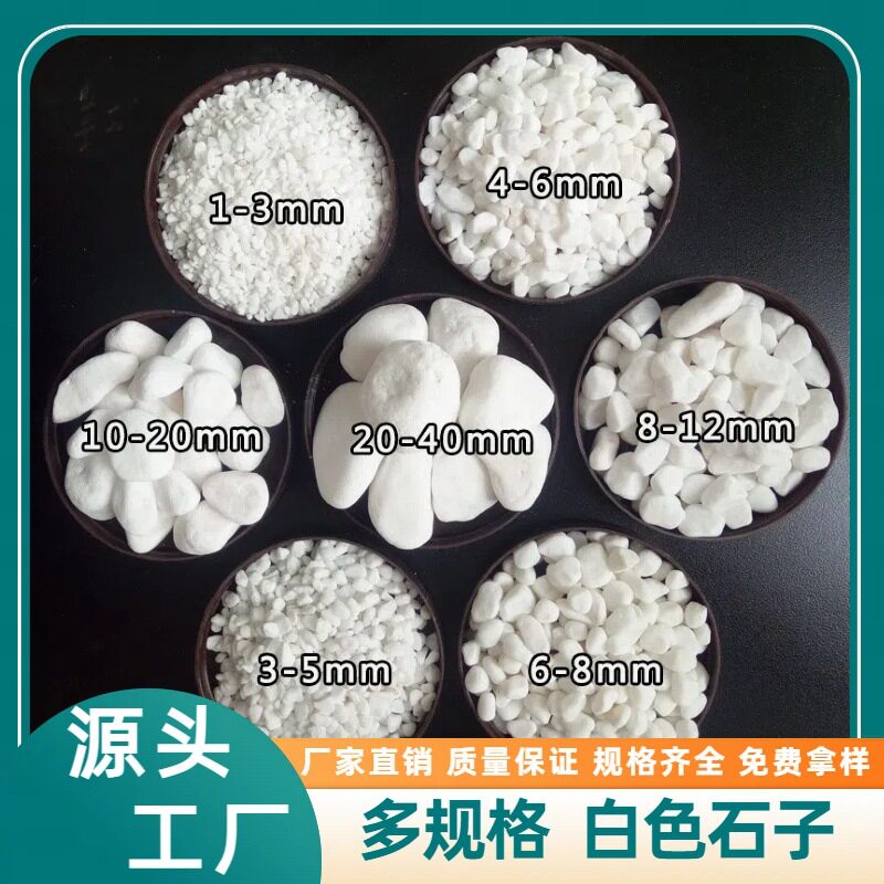 白石子多规格鹅卵石墙面装饰庭院铺路花卉造景园林枯山水用白石子