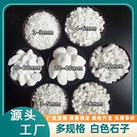 白石子多规格鹅卵石墙面装饰庭院铺路花卉造景园林枯山水用白石子