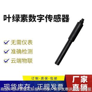 污水泳池检测仪 荧光法叶绿素传感器 瑞明