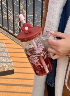 欧司博美女大容量双层玻璃水杯全新2025耐高温吸管杯