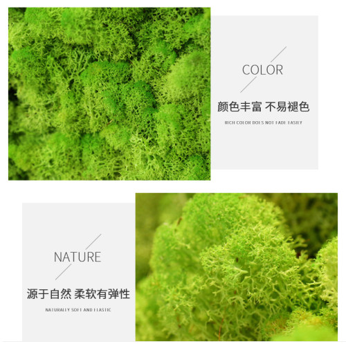 永生苔藓植物微景观背景墙装饰永生花diy绿植墙仿真植物墙苔藓墙