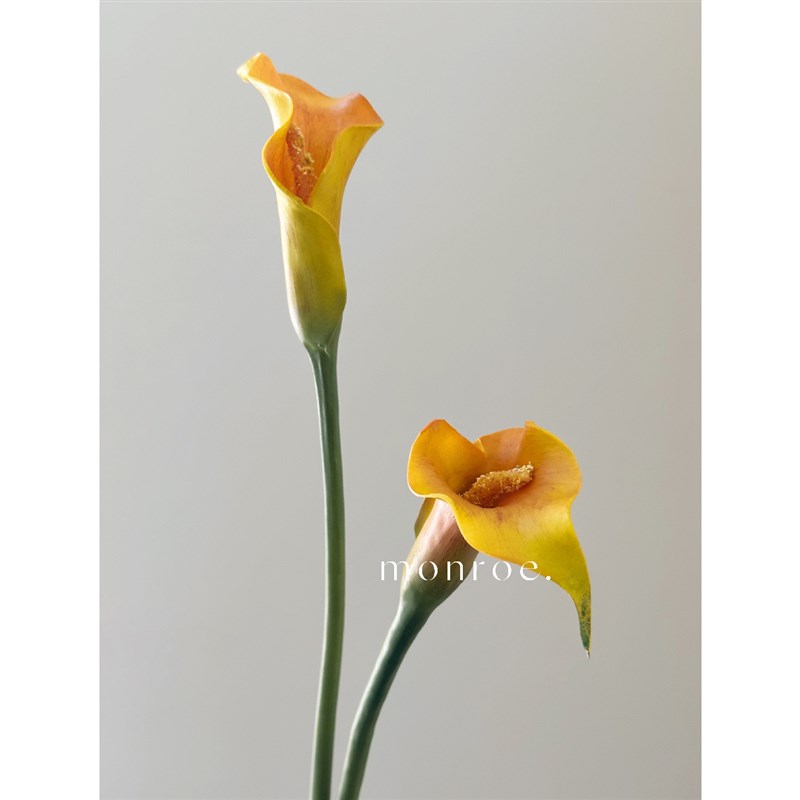 马蹄莲 仿真花橘黄假花摆设摆件装饰房间高档海芋复古欧式拍摄