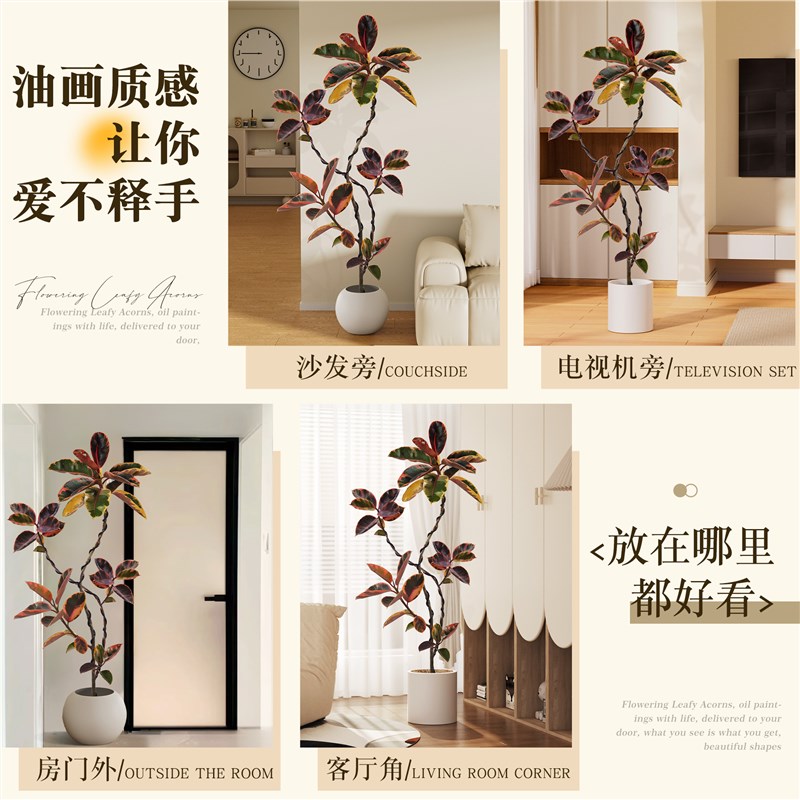 橡皮树客厅大盆栽花叶黑金刚客厅绿植室内大型好养落地禄植物真树