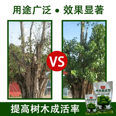 树木激活剂大树营养液移栽定植通用型营养吊针液生根促芽壮苗复壮