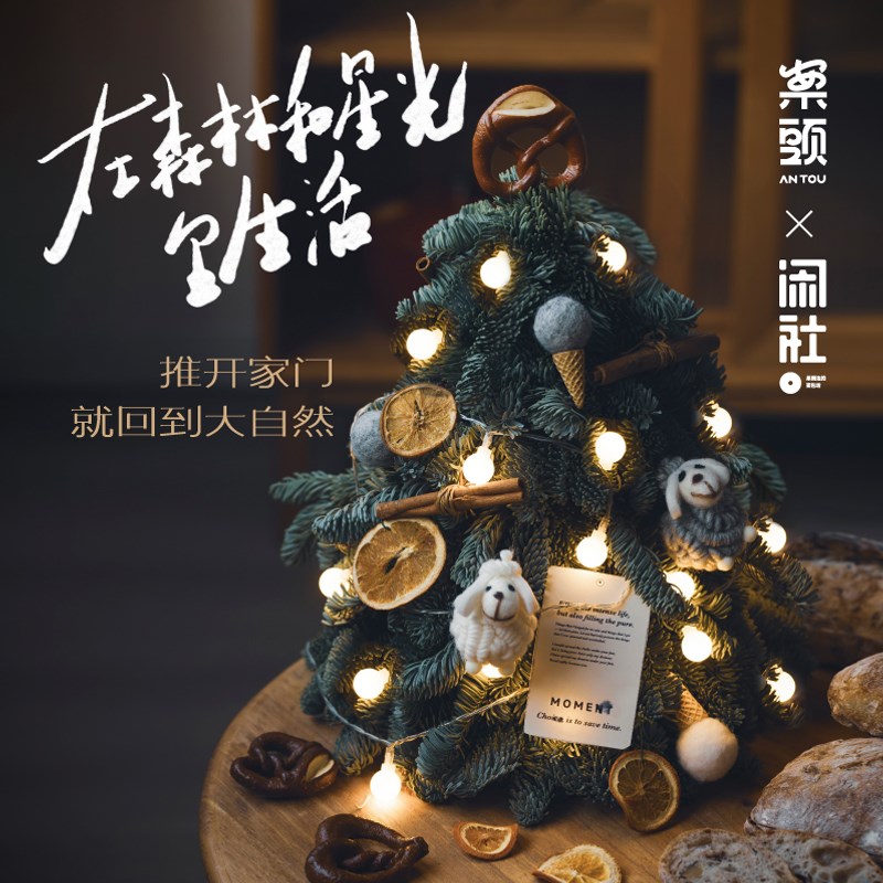 进口新鲜诺贝松圣诞树真树小型家用桌面迷你摆件圣诞节装饰送礼物