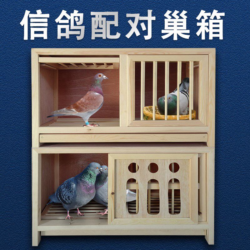 信鸽子配对笼巢箱繁殖上翻门鸽具实木支持定制组合赛飞种鸽赛飞箱