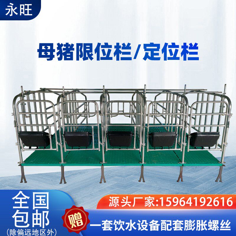 母猪定位栏猪场用限位栏产床落地式带复合漏粪板畜牧养殖设备厂家