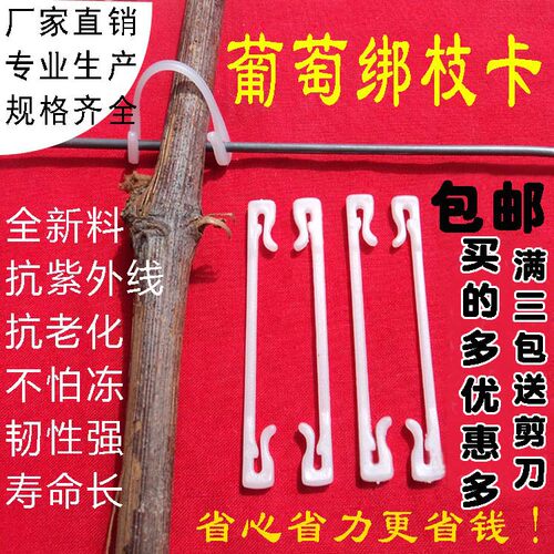 葡萄树绑枝卡扣 黑色塑料农业种植绑蔓工具 猕猴桃树固定卡子