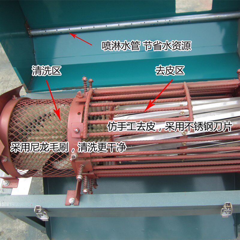 青核桃去皮机核桃去青皮机小型核桃剥皮清洗All青核桃脱皮机