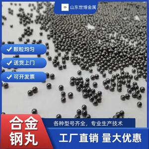 合金钢丸钢砂钢丝切丸国标钢丸铸钢丸厂家喷砂除锈磨料不锈钢丸