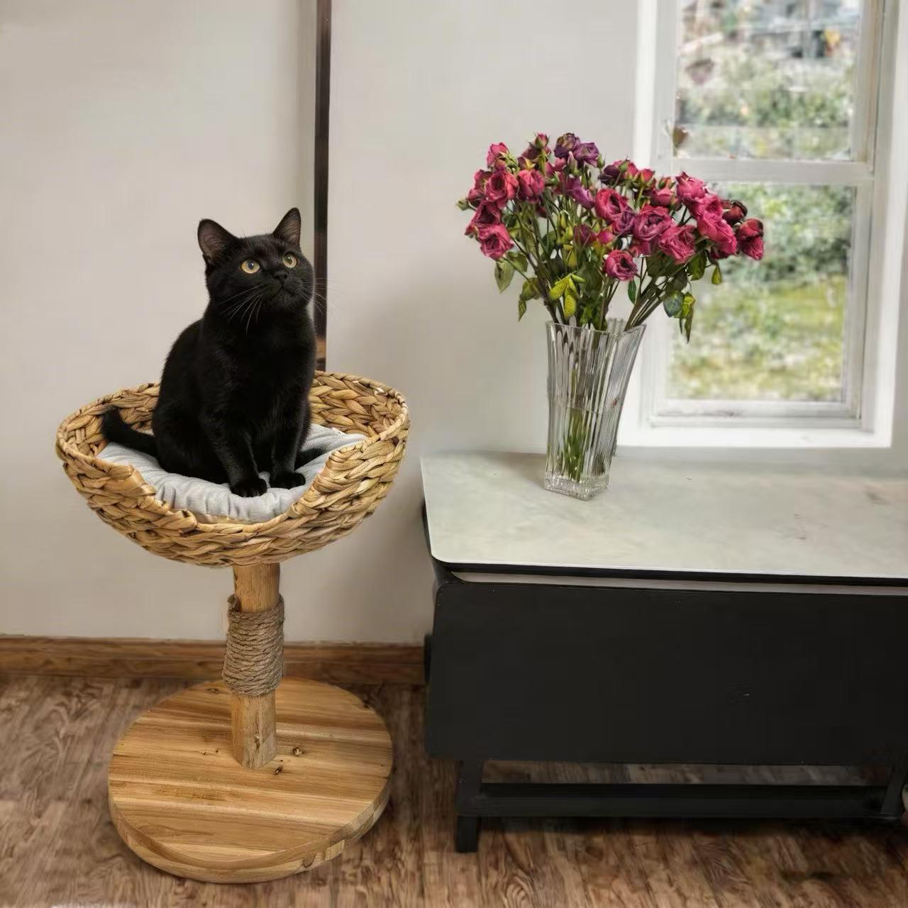 纯天然材料编织猫爬架家用不占地单猫窝猫爬架猫抓板多功能猫爬树图片