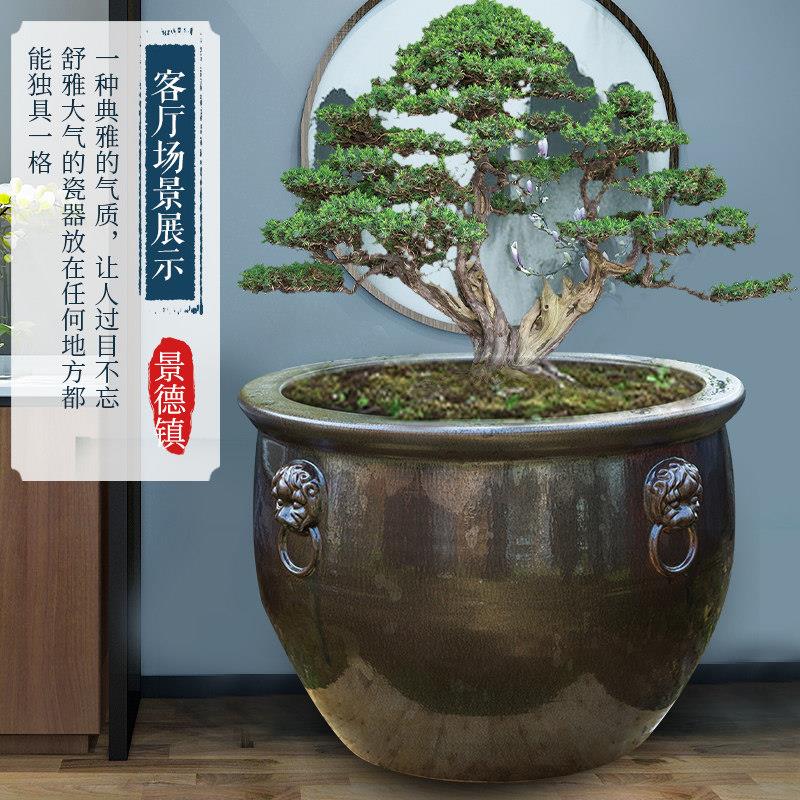 陶瓷大缸景德镇养鱼缸仿古老式特大号大水缸锦鲤荷花睡莲招财室外