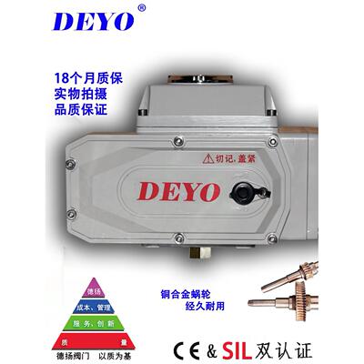 SDV-10/15电动执行器,断电覆位开关型/调节型电动头,ACDC24/220V