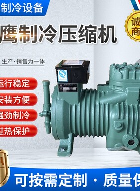 雪鹰压缩机组BR215G4-48 5BR20C4-63.5