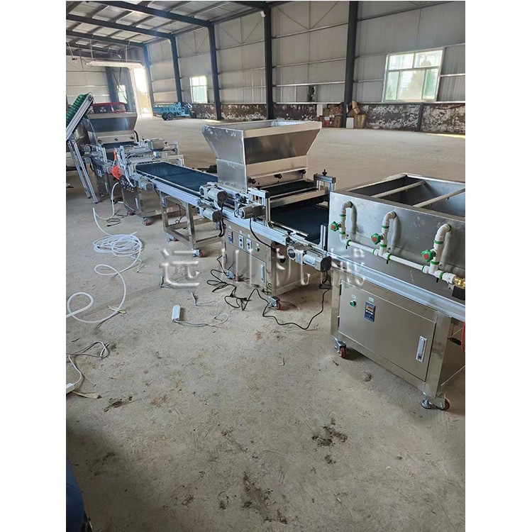 全自动穴盘育苗机 电动液压漂盘育苗播种机 蔬菜花卉种子种植机