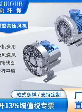 JS-710D-23KW变频防爆旋涡鼓风机工业防爆气泵