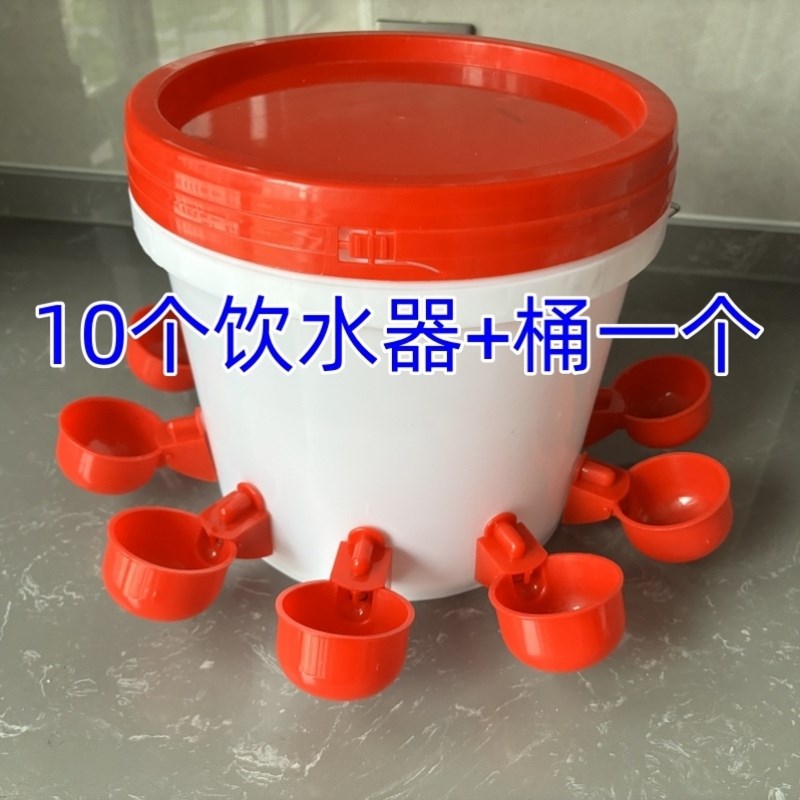 鸡用自动饮水器鸭鹅鸽子鹌鹑桶装喝水碗雏鸡饮水T碗全自动新款水