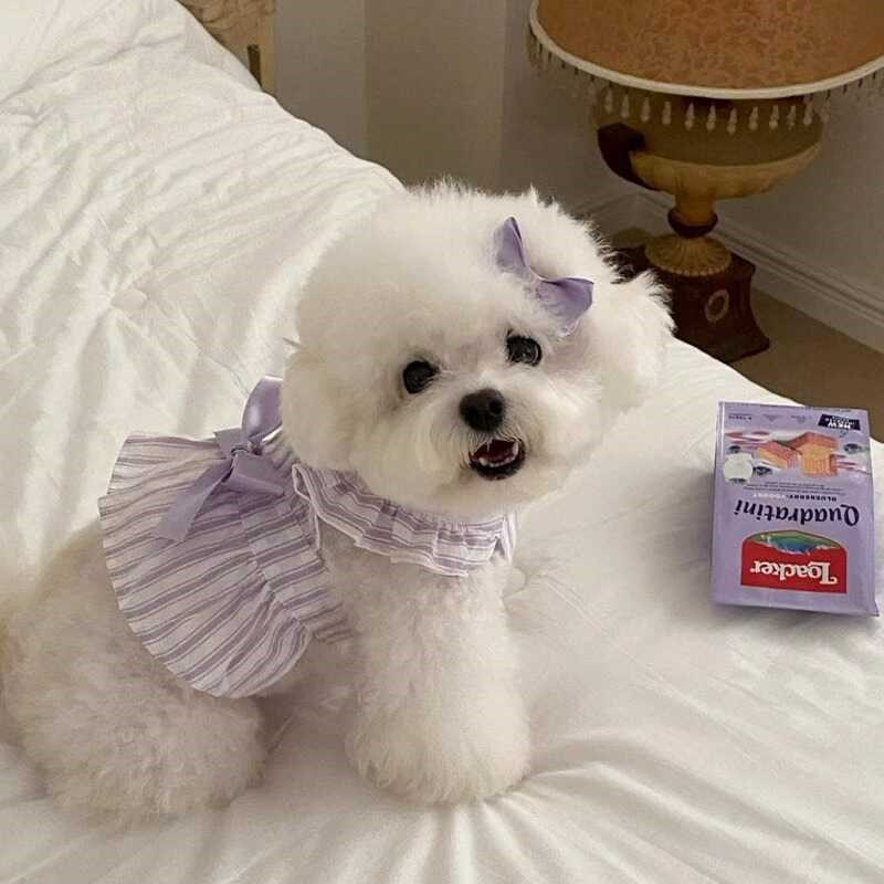 紫色粉色可爱小飞袖条纹连衣裙小型犬猫咪春夏季宠物X薄款狗狗衣