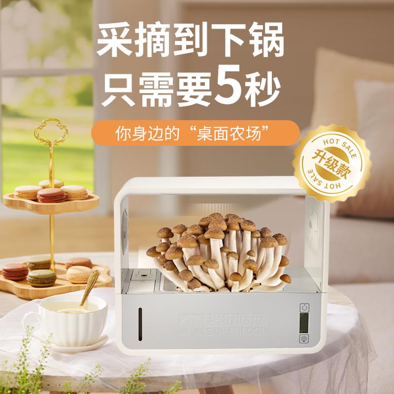 超级菇菇蘑菇生态箱菌菇包种植机蘑菇培养箱智能室内香菇种植设备