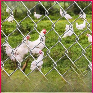 养鸡围栏网热镀锌防锈钢丝网铁丝网围栏栅栏户外养殖围栏网隔离网