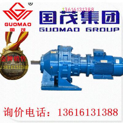 销售国茂国泰减速机集团摆线针轮减速机BWED20-289-0.55