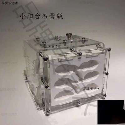 石膏蚁巢巢生亚克力城堡试管宠物生日特硬蚁巢宠物混凝土散装长宽