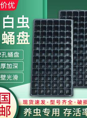 蛋白虫无孔化蛹盘加深加厚50孔72孔7cm化蛹大麦虫孵化育苗盘专用