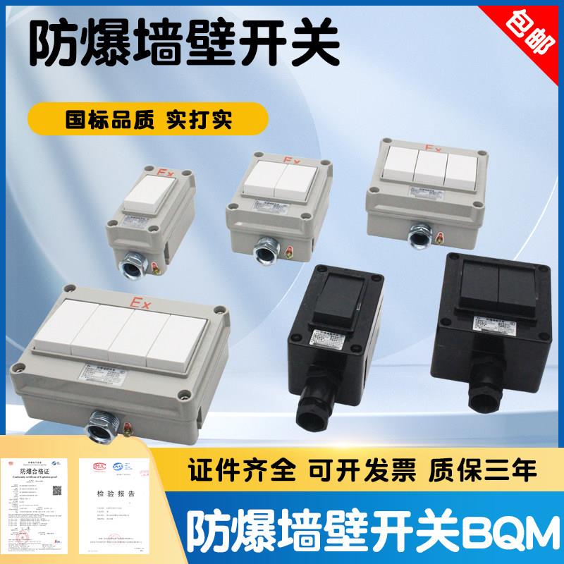 防爆墙壁开关 照明开关 转换开关 防爆开关BQM-1开2开3开双切防水