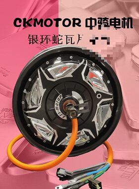 中骑银环蛇12寸3000WP4000WP5000wp电机非全顺豫马瓦片