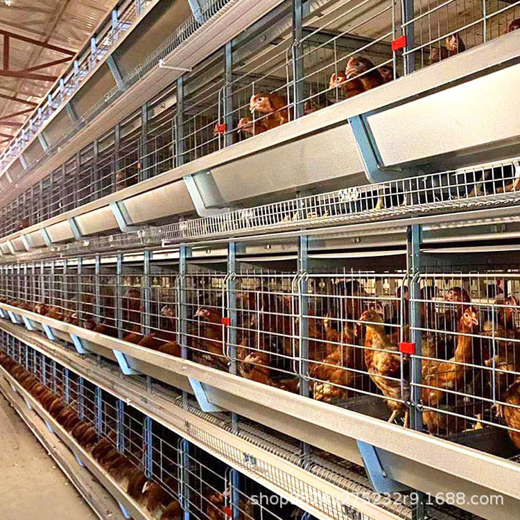 加粗型养殖笼宏伟多种尺寸养鸡笼大型工业化养殖机械