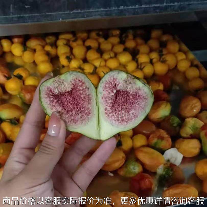 低温脱水真空冻干机厂家 肉类蔬菜真空冻干设备全自动真空冻干机,农机/农具/农膜,耕种机械/微耕机/开沟机,淘宝优惠券,粉丝福利购,淘宝优惠卷