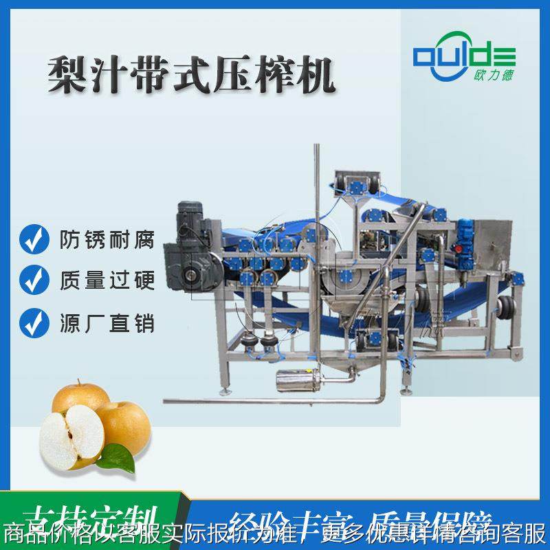 直售全自动商用梨汁带式榨汁机不锈钢工业蔬菜水果榨汁机脱水机,厨房/烹饪用具,面条机/压面机,淘宝优惠券,粉丝福利购,淘宝优惠卷